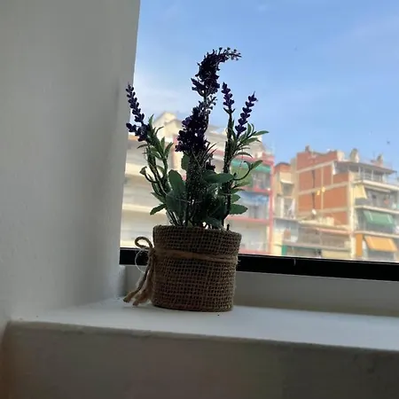 Jordans 4 Apartment *