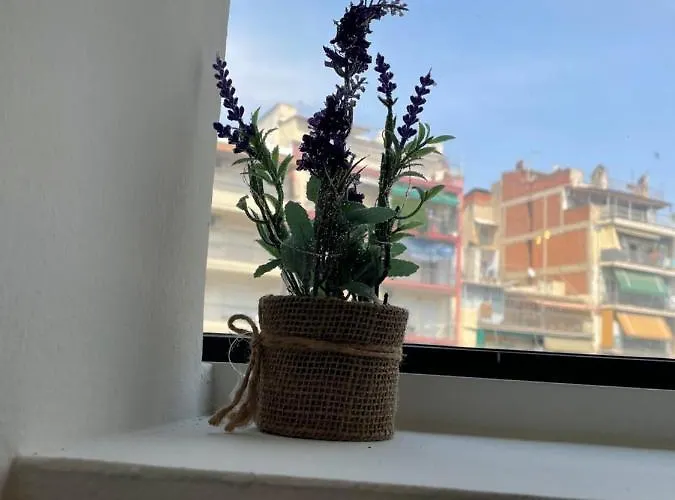 Jordans 4 Apartment *